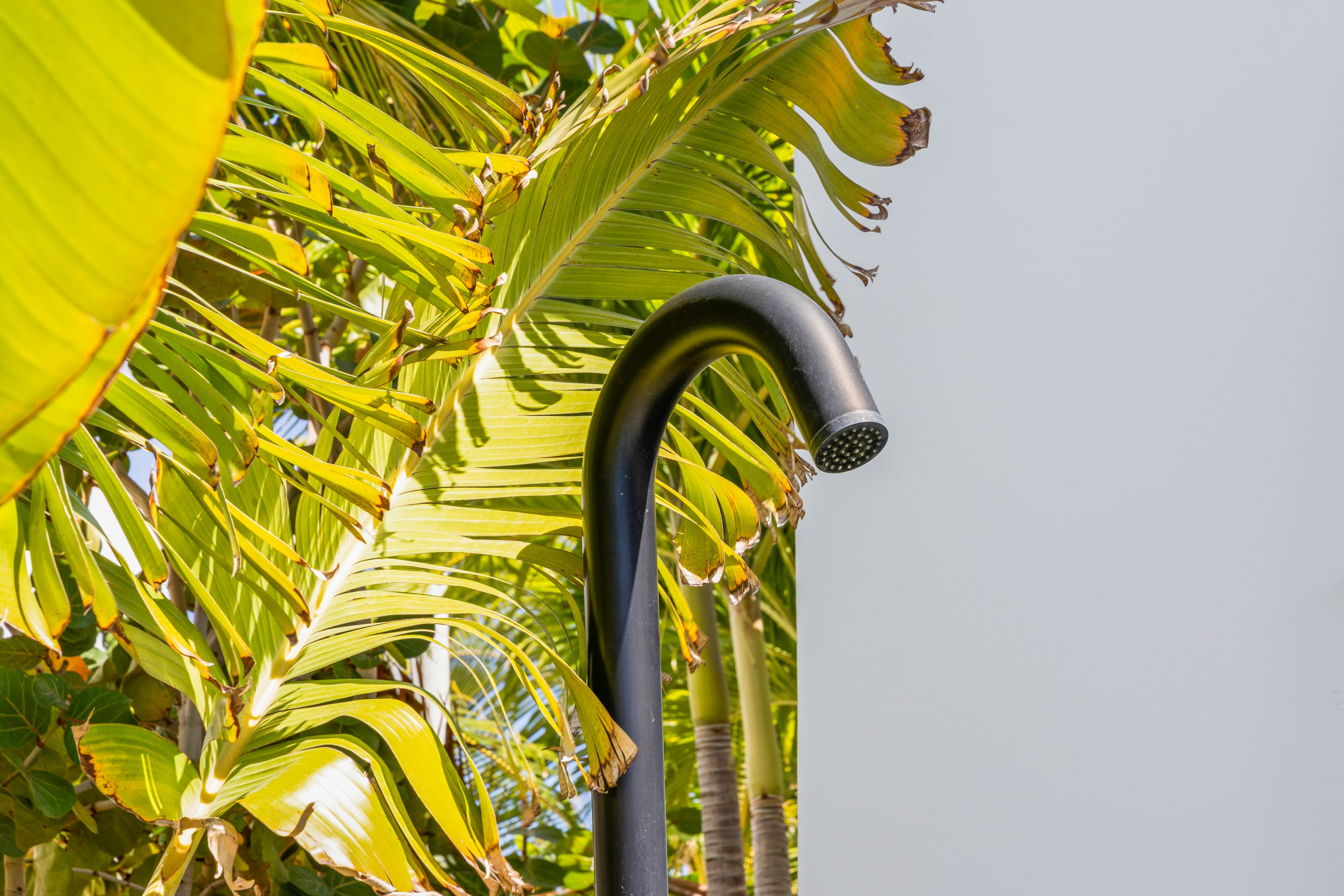 outdoor shower at the deck